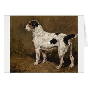 Cru - chien d'une chevelure de Fox Terrier de fil,
