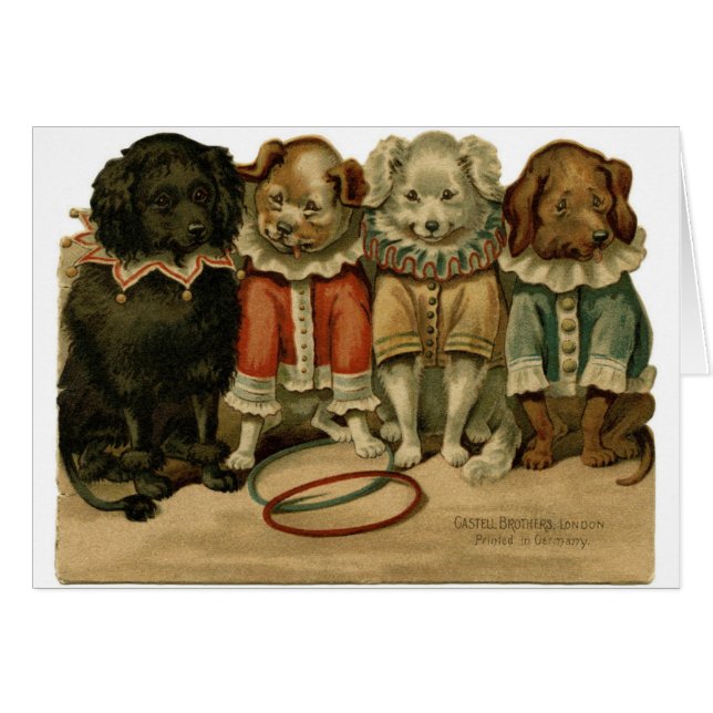 Cru - chiens dans des costumes de clown, (Devant horizontal)