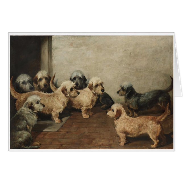 Cru - chiens de Dandie Dinmont Terrier, (Devant horizontal)
