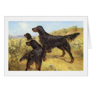 Cru - chiens de poseur de Gordon dans le domaine,