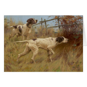 Cru - chiens d'indicateur sur le point,