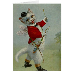 Cru - cupidon Kitty,