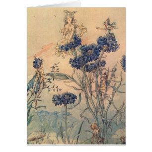 Cru - fées de bleuet,
