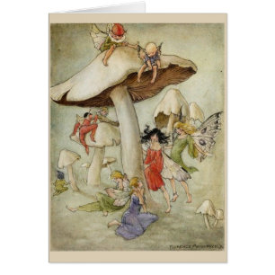 Cru - fées et champignons,