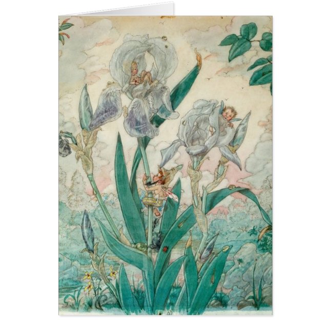 Cru - fées jouant en fleurs d'iris, (Devant)