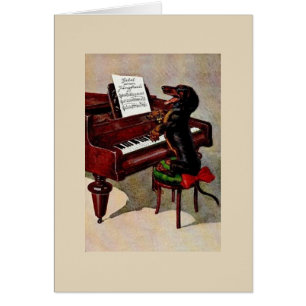 Cru - piano jouant le teckel,