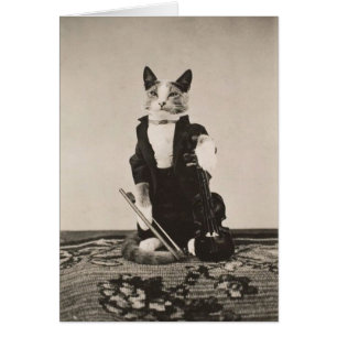 Cru - violoniste de chat,