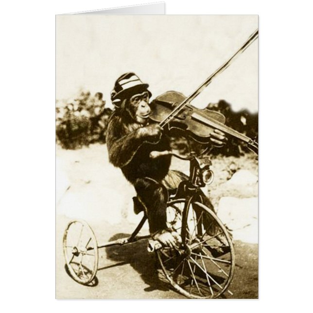Cru - violoniste de chimpanzé de Tricycle-Ridng, (Devant)