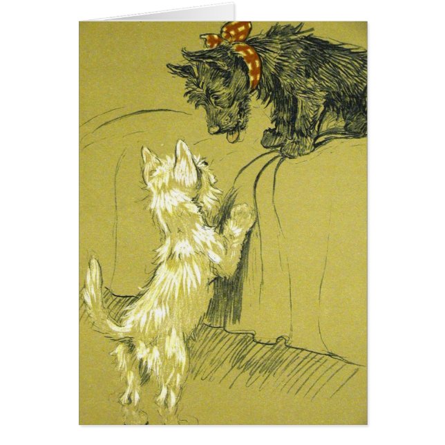 Cru - Westie et chiens de Scotty, (Devant)