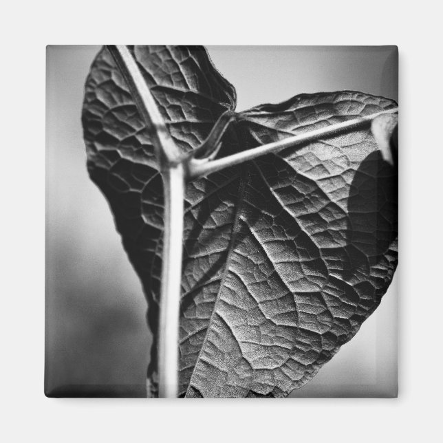 crucified heart magnet (Front)