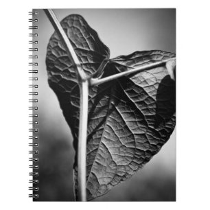 crucified heart notebook