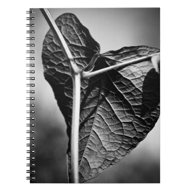 crucified heart notebook (Front)