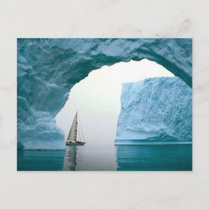 Cruising Antarctica Postcard