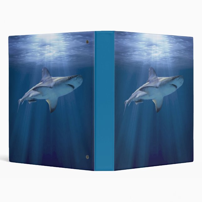 Cruising Shark Binder (Background)