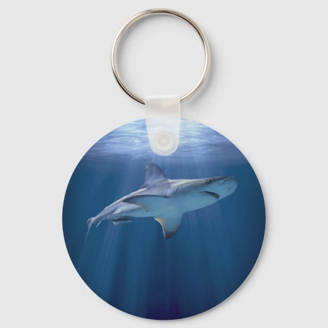 Cruising Shark Keychain (Front)