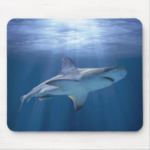 Cruising Shark Mouse Pad