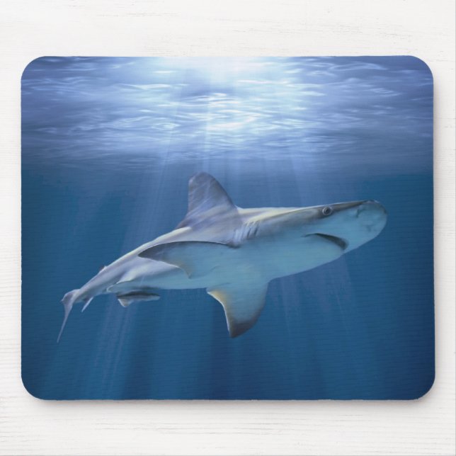 Cruising Shark Mouse Pad (Front)