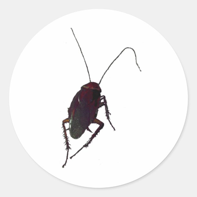 Crunchy Cockroach Classic Round Sticker (Front)