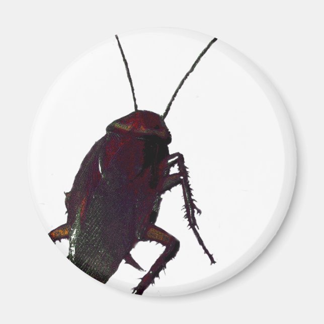 Crunchy Cockroach Magnet (Front)
