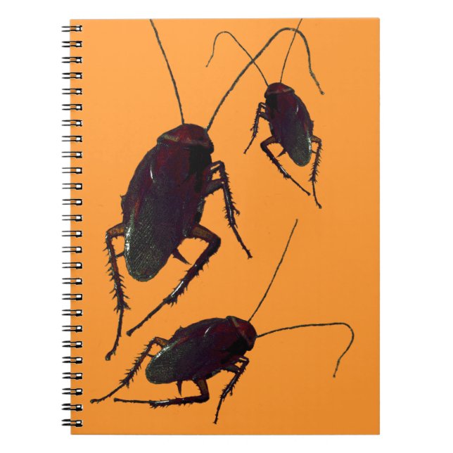 Crunchy Cockroach  Notebook (Front)