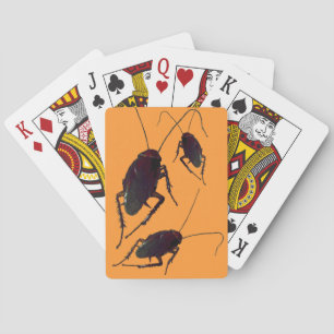 Crunchy Cockroach Playing Cards