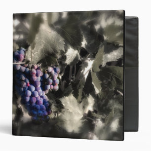 Crush at Tefft Cellars main vineyard Binder