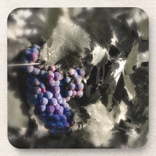 Crush at Tefft Cellars main vineyard Coaster (Front)