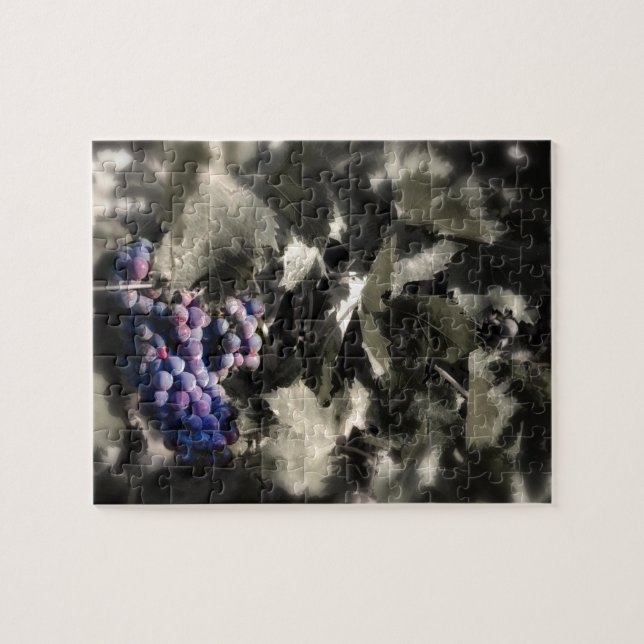 Crush at Tefft Cellars main vineyard Jigsaw Puzzle (Horizontal)