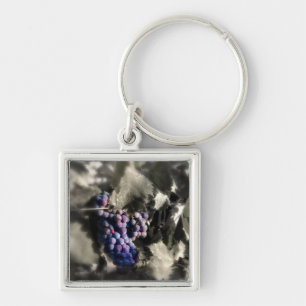 Crush at Tefft Cellars main vineyard Keychain