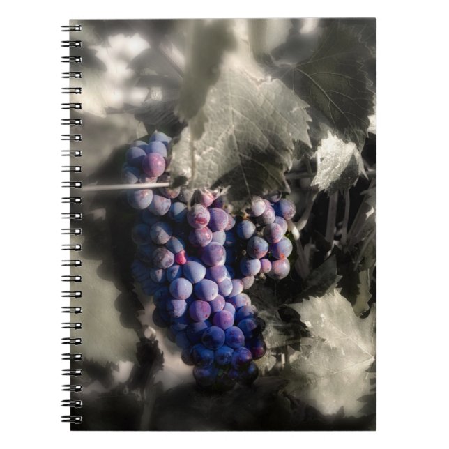 Crush at Tefft Cellars main vineyard Notebook (Front)
