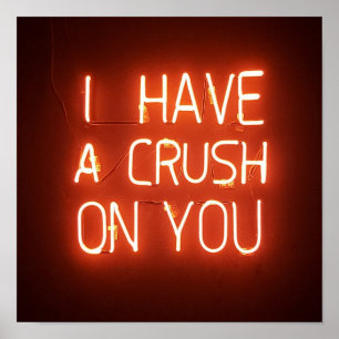 Crush on you poster