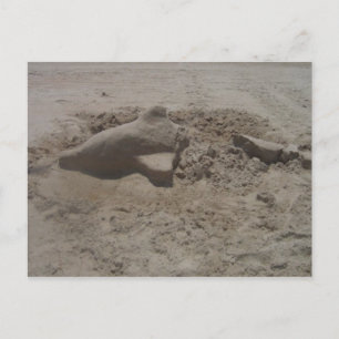 Crushed Dolphin Sandcastle Postcard