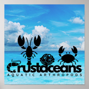 Crustaceans Aquatic Arthropods Poster