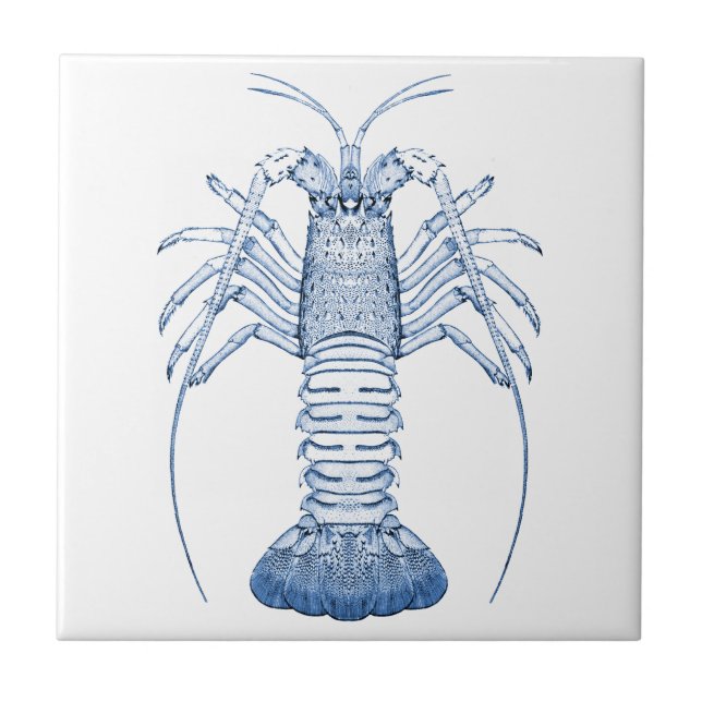 Crustaceans Ceramics ~ Rock Lobster Tile (Front)