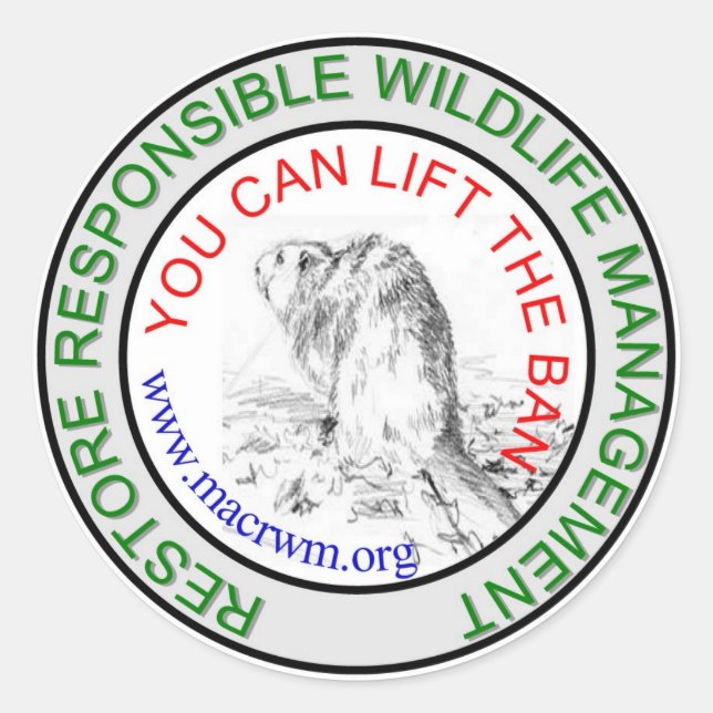 CRWM Lift the BAN! Classic Round Sticker (Front)