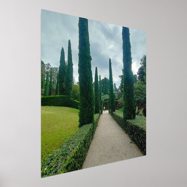 Crying gardens foil prints (Laydown)