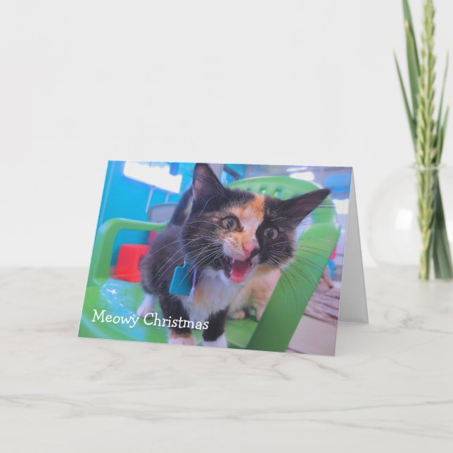 Crying Kitten Card (Front)