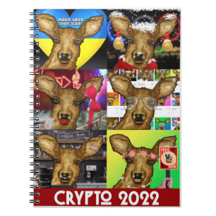 Crypto 2022 Notebook