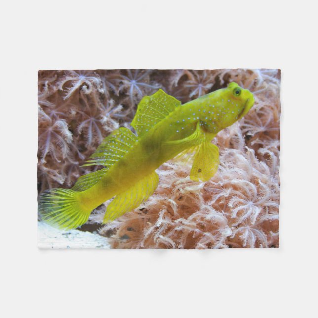 Cryptocentrus cinctus fleece blanket (Front (Horizontal))