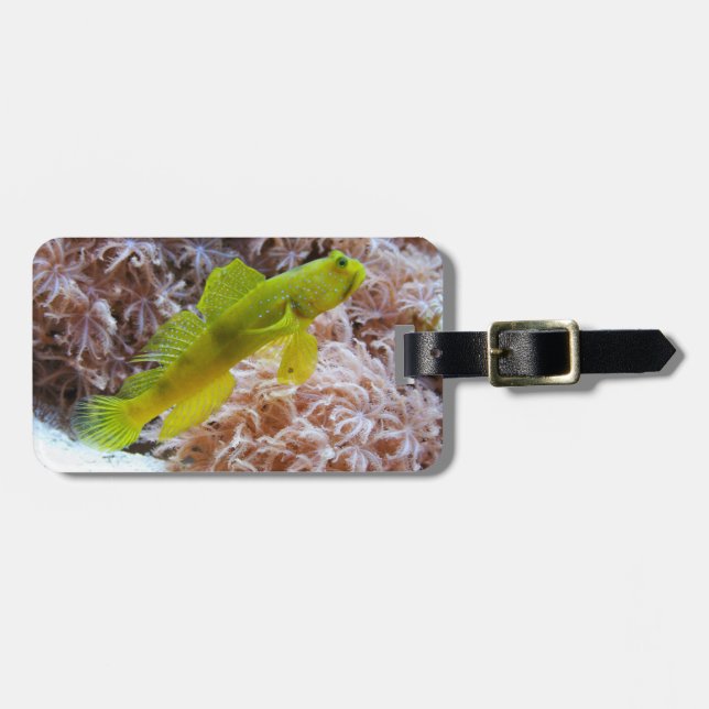 Cryptocentrus cinctus luggage tag (Front Horizontal)