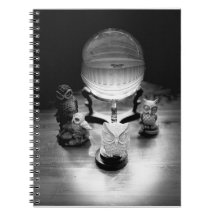 Crystal Ball and Ornamental Owls