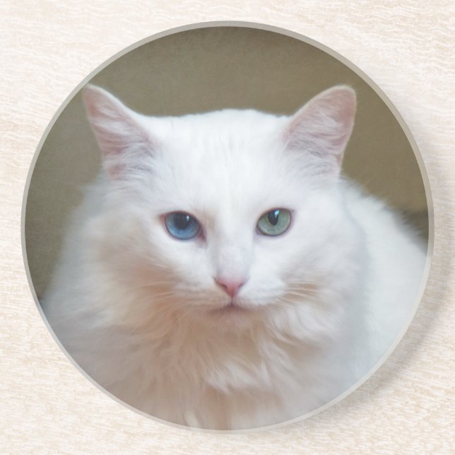 Crystal Coaster (Front)