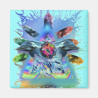 crystal conscious lite dolphins magnet