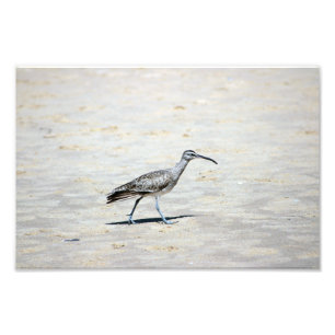 Crystal Cove State Park Photo Print