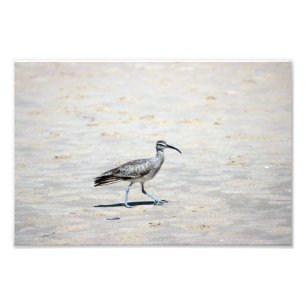 Crystal Cove State Park Photo Print