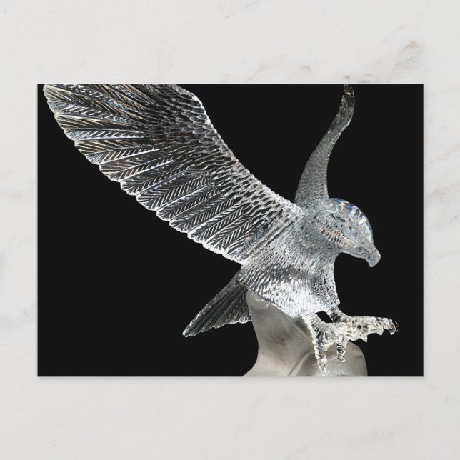 Crystal Eagle Postcard (Front)