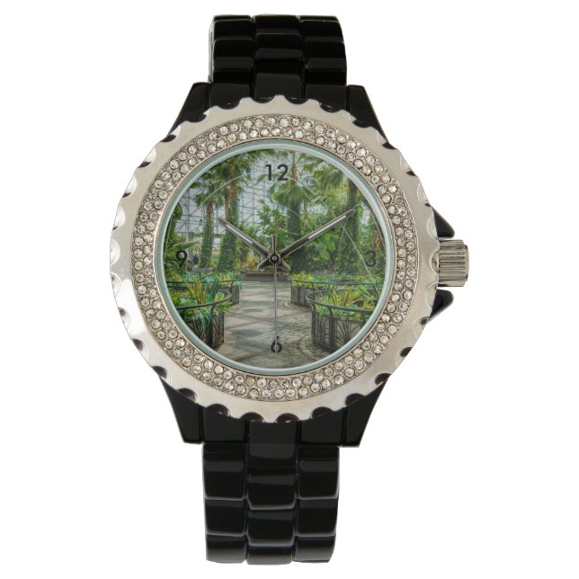 Crystal Gardens Leap Fountain Watch (Front)