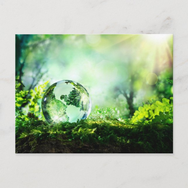 Crystal globe in a green forest postcard (Front)