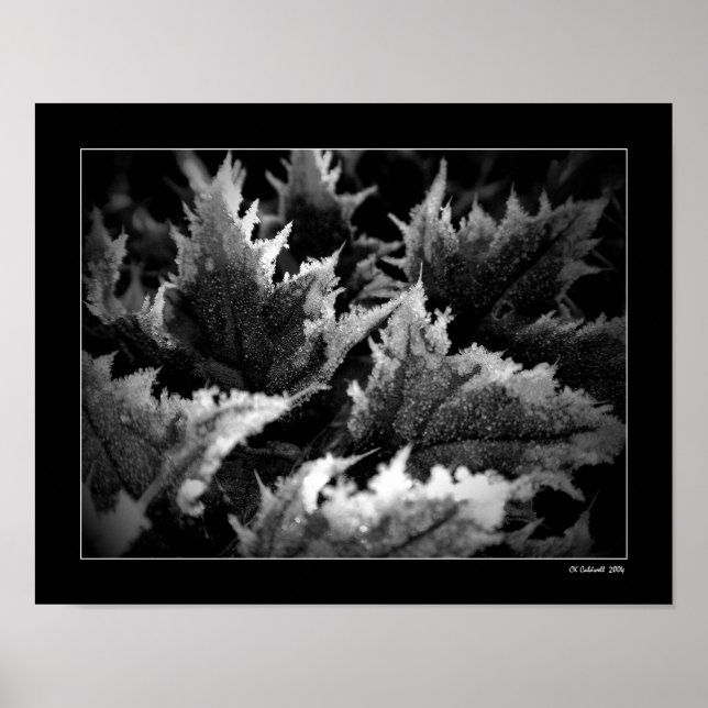 Crystal Morning Poster (Front)