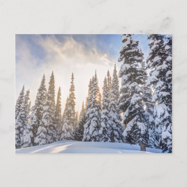 Crystal Mountain Ski Resort, near Mt. Rainier 1 Postcard (Front)